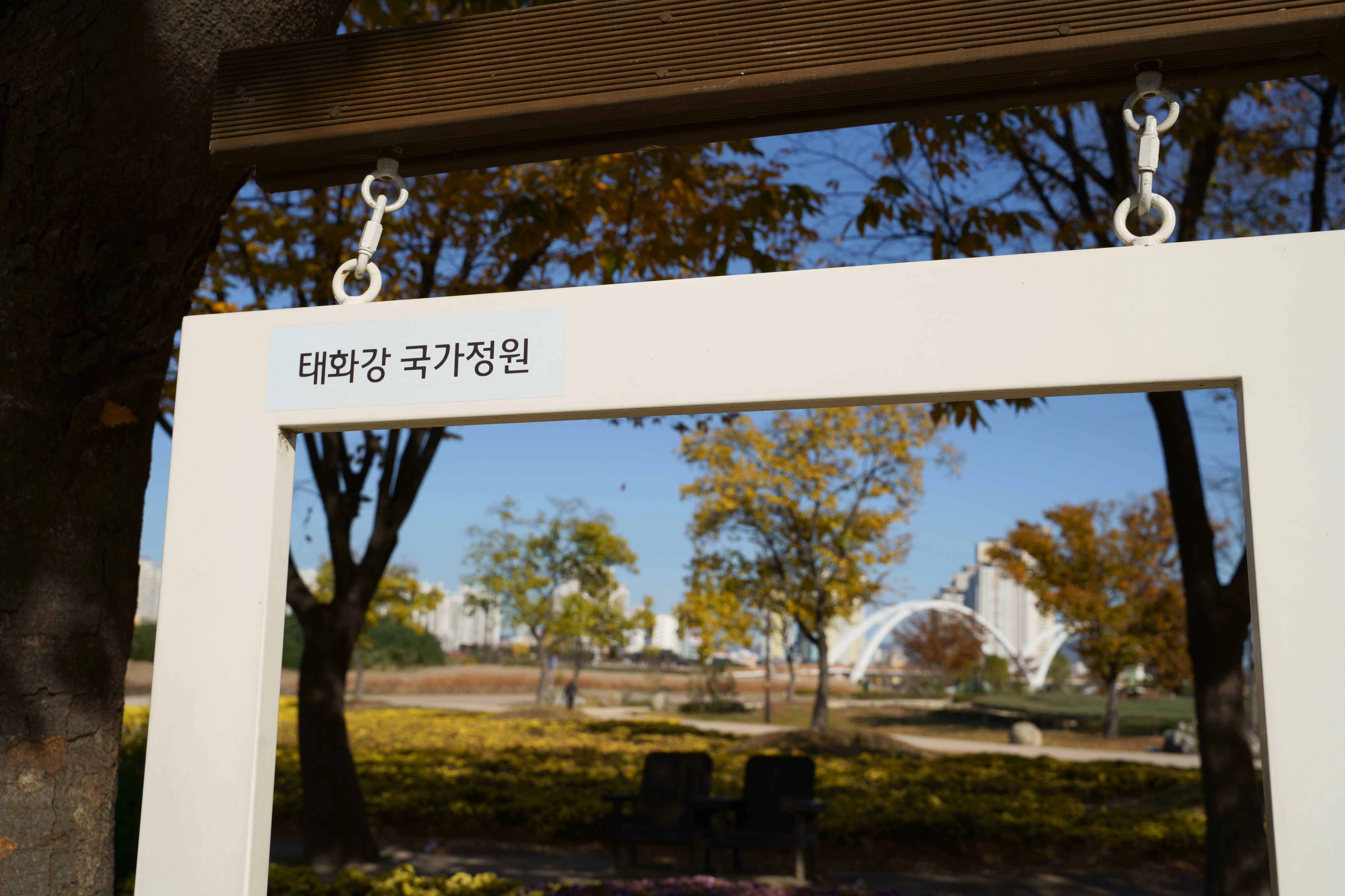Autumn Framed View at Taehwagang National Garden